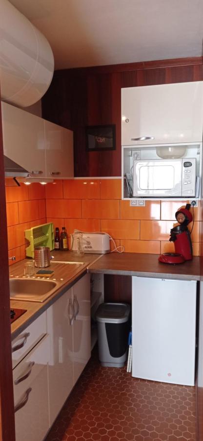 Appartement St Lary Soulan Pied Des Pistes Saint-Lary-Soulan Exterior foto